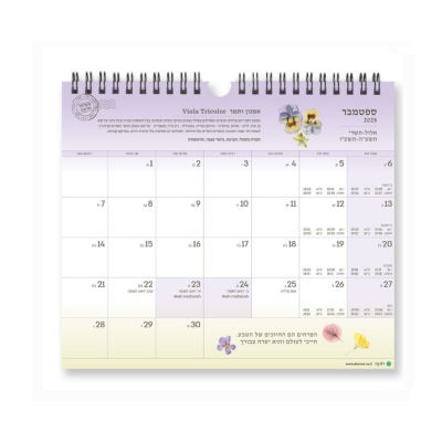 אתר (24)